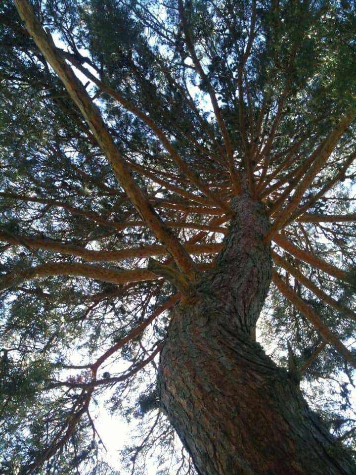 Kızılcahamam ilçesi